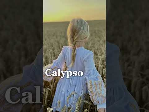 Vidéo YouTube