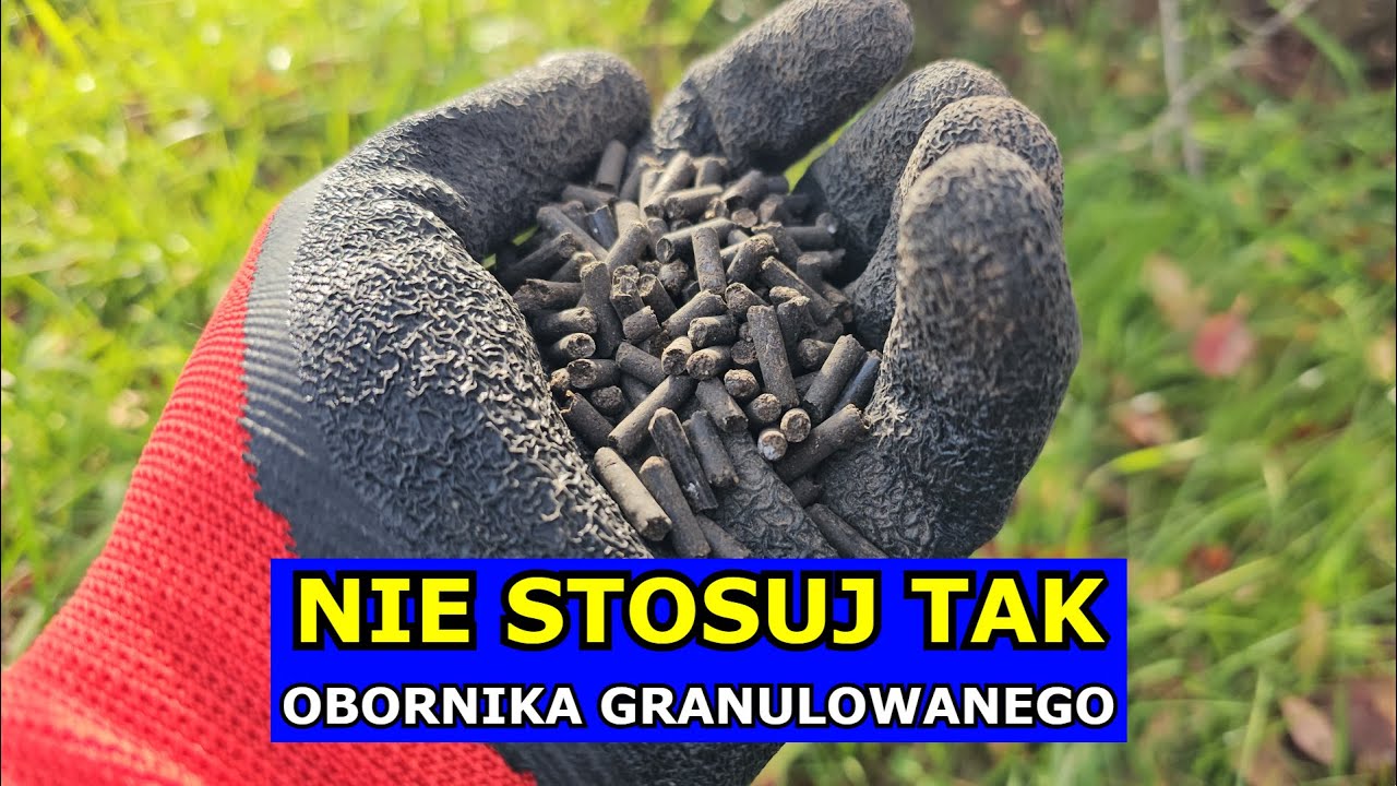 Nie Stosuj tak Obornika granulowanego. Jak i Kiedy Stosować Obornik granulowany Jesienią czy Wiosną.