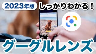 【Googleレンズ】カメラにうつせば何でもわかる！基本操作や活用法、話題の「宿題」モードまで解説