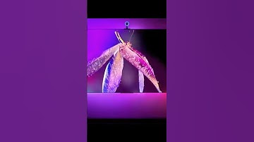 Bluetooth APP Control RGB LED Strip | TV Sync Backlight + Music Mode + Color Picker!