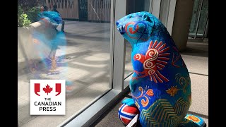 Toronto s FIFA beaver sculptures up for auction