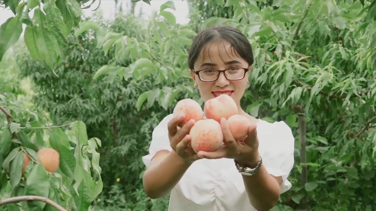 Xinjiang, My home | Village official experiences rural changes