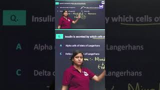 Function of Pancreas in 60 Seconds | NEET UG Biology