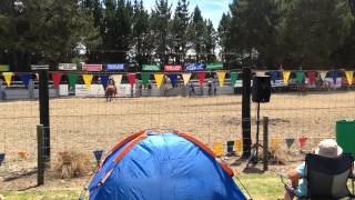 Millers Flat - Rodeo - Saddle bronc riding