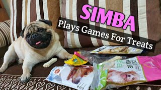 Pug plays funny games for Dog Treats | Simba's Pug Life