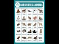 Carnivores Animals #animals  #carnivoresanimalsnames #shortsfeed #animalsvocabulary