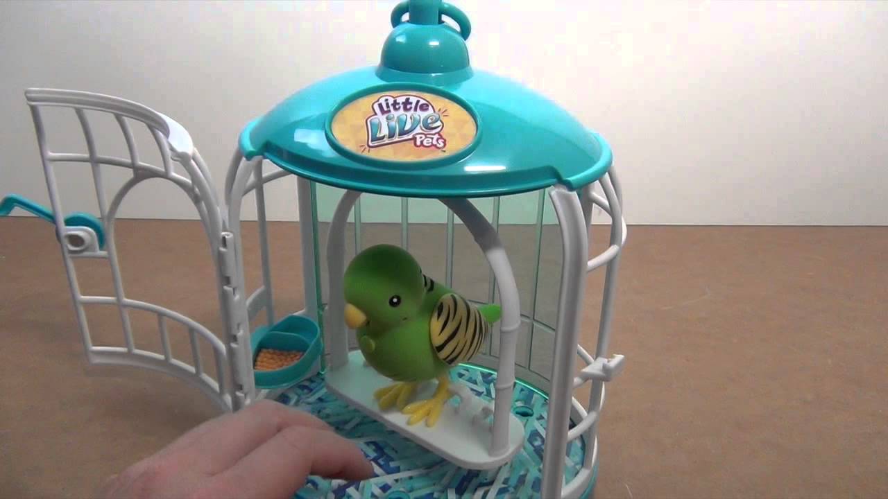 little live pets reviews