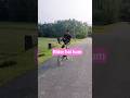 Rider hai hum 👍sahidul_stunt #short video