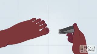 How to Clip Toenails (Male) - Animated Step-by-Step