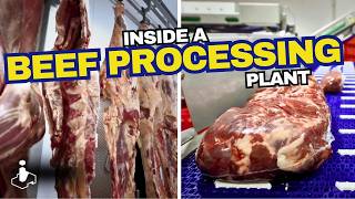 How is BEEF for restaurants made? – Factories in Poland