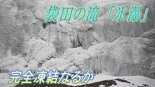今年は“完全凍結”!?　袋田の滝が見頃
