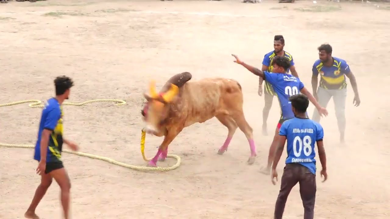 கருப்பாயூரணி அய்யன்பாண்டி பாண்டிச்சாமி குழு Vs பெரியபாறைபட்டி AK.அஜித்குமார் ராக்கெட் செவளை காளை