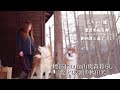 標高1300m山奥森暮らし 愛犬は2頭の秋田犬