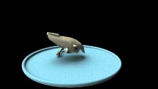 Dragon Skull model screenshot 5