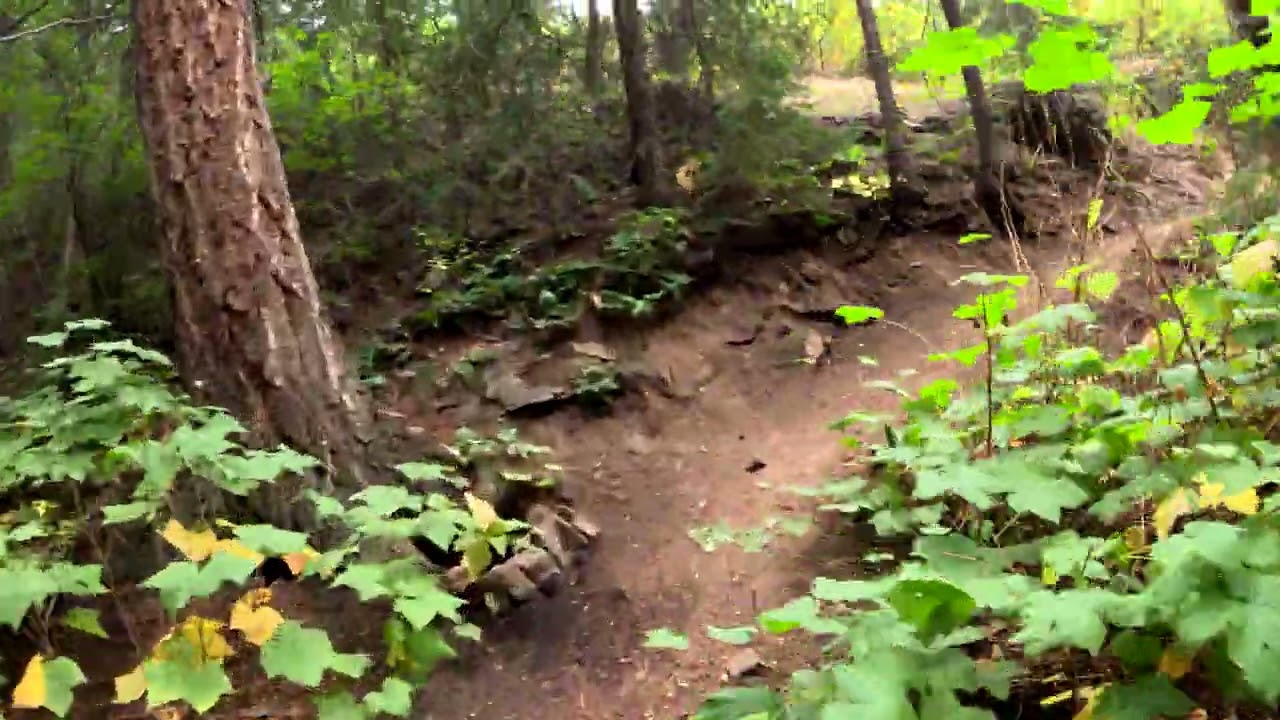 Deer Creek Park Plymouth Mountain Trail MTB 5  20250913