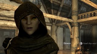 Interesting NPCs - Eldawyn (Skyrim Mods)