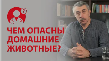 Домашние животные. Польза и вред домашних животных. Доктор Комаровский | Вопрос Доктору