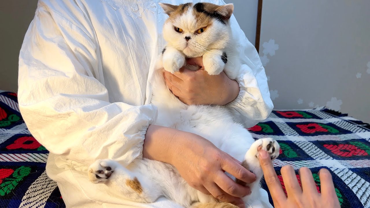 No. 19] A Heartwarming Livestream with Mom - YouTube