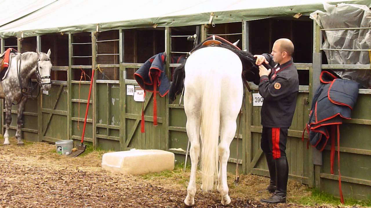 The Carabinieri-L'Arma dei Carabinieri. Episode 3