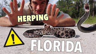 Catching VENOMOUS Snakes and MORE in Florida! (Herping Apalachicola National Forest Part 1)