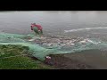 Lacul de pescuit Bitina - populare cu peste