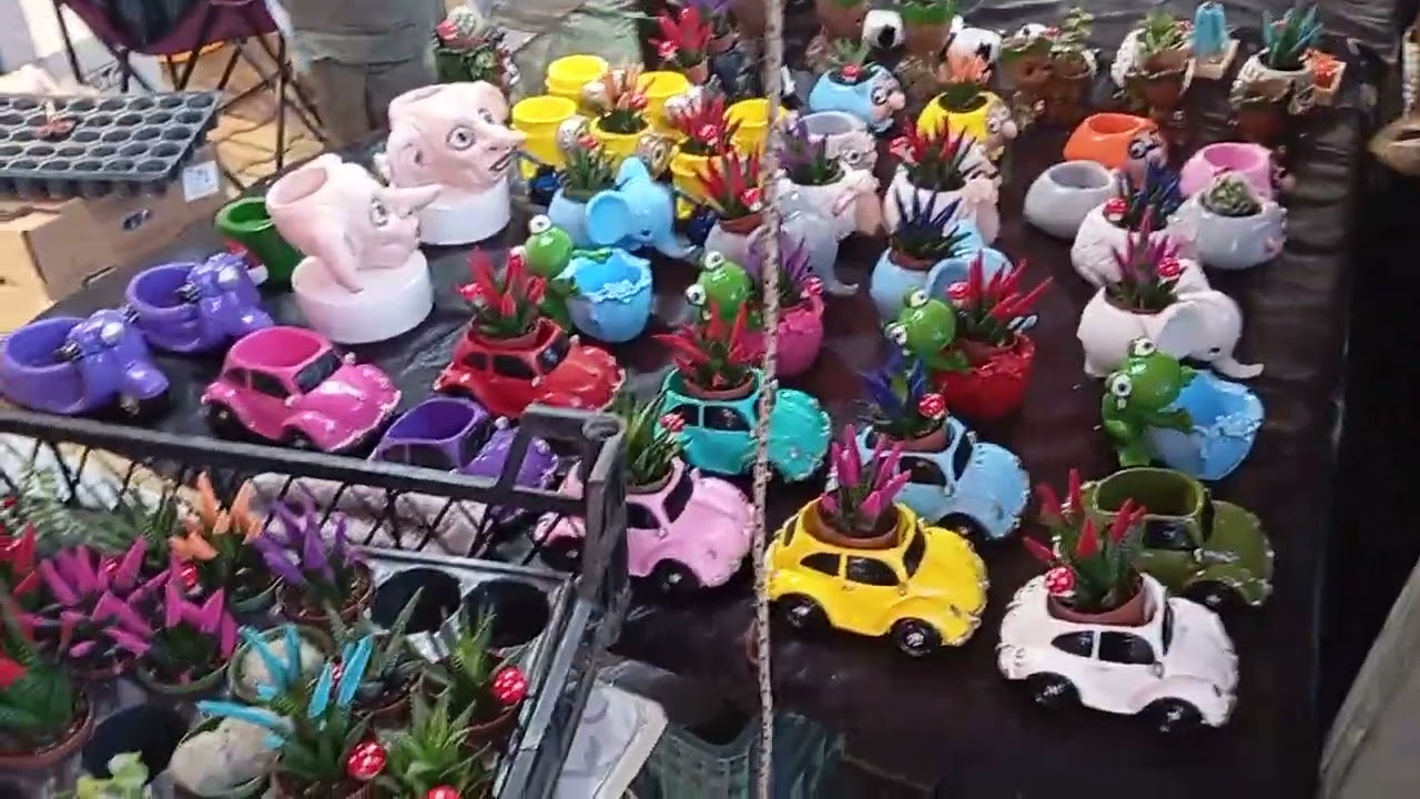 Seferihisar'da Karadeniz günleri.. 11-14 Ocak 2026.. 