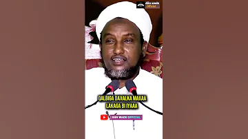 Qalbiga Daxalka Maxaa Lakaga Bi Iyaaa Islamicvideo Allah Duco Shorts 