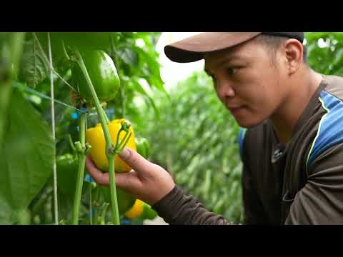 把水留住 灌溉大地 創造農業環境永續