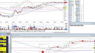 Day Trade Recap - 1.21.20 Pton Tal Ual Pets