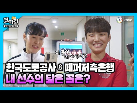 [코다리] 하이텐션 닮은 꼴 찾기...!!🤣