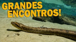 #8 EXPEDIÇÃO AVENTURA PANTANAL | ENCONTROS ESPECIAIS | RICHARD RASMUSSEN