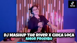 Download lagu 6 DJ MASHUP THE RIVER X CHICA LOCA X AMOR PODIBO - (DJ IMUT REMIX) mp3