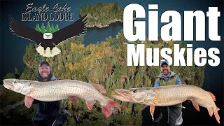 Eagle Lake Monsters: Trophy Musky Fishing
