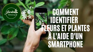 Comment Identifier fleurs et plantes à l'aide d'un smartphone screenshot 5