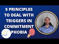 5 Principles to Deal with Triggers in Commitment Phobia - Educational Video