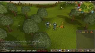 Runescape - First Skillcape