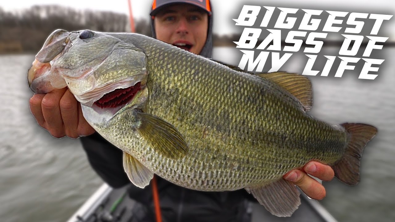 My Biggest Bass Ever // Braidwood Lake 2023