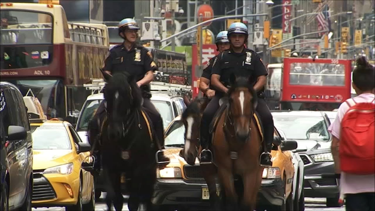 NYPD Mounted Unit [I.S.O. In Search Of] YouTube
