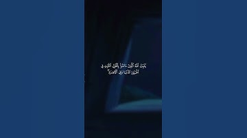 القارئ عمر بن ضياء الدين | سورة إبراهيم