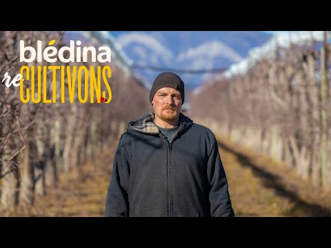 Mathurin Agriculteur Partenaire Blédina Nous Parle Du Projet Pachamama 