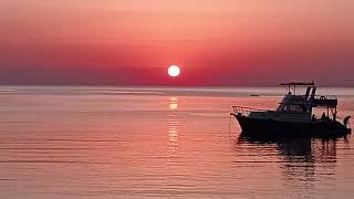 Ne Anlami Var Resimi