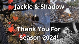 Jackie \& Shadow Love Each Other \& Eagle On! ❤️❤️🦅🦅 Where Are The Eggs? 🥚🥚🥚 Big Bear Valley 2024