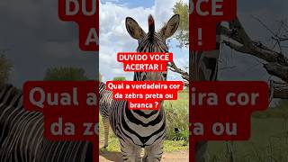 VOCÊ ACERTOU? 😱 A VERDADE SOBRE A ZEBRA QUE QUASE NINGUÉM SABE! 🖤🤍 #curiosidades