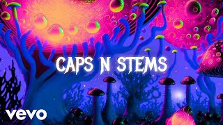 Roses On The Moon - Caps 'n Stems (Visualizer)