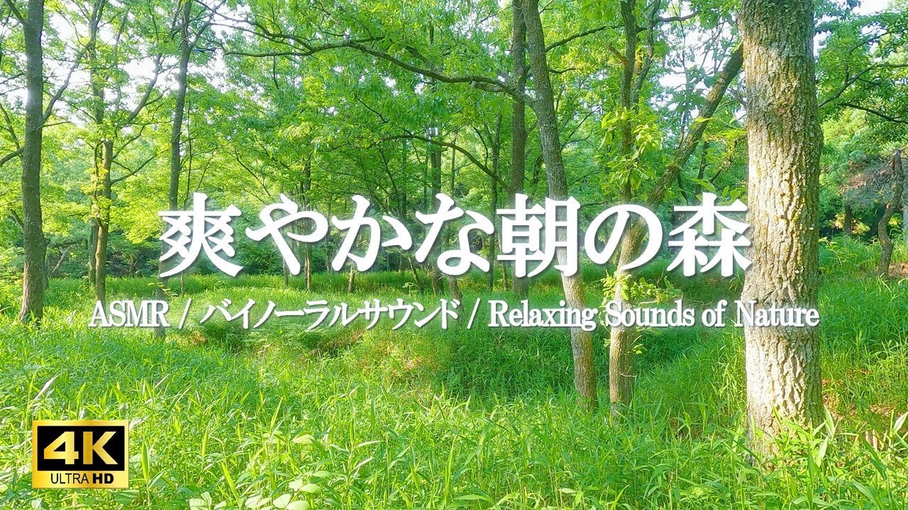 送料無料　あなたに幸運の女神が舞い降りるCDブック　運気ヒーリングハープセラピー 悲しみが消えて喜びが満ちる ヒーリングハープ CDブック（初版
