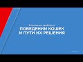 Курс обучения &quot;Зоопсихология&quot; - 5 основных проблем в поведении кошек и пути их решения