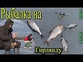 Рыбалка на гирлянду. Красивое видео про зимнюю рыбалку. Залив Сосны. Киев