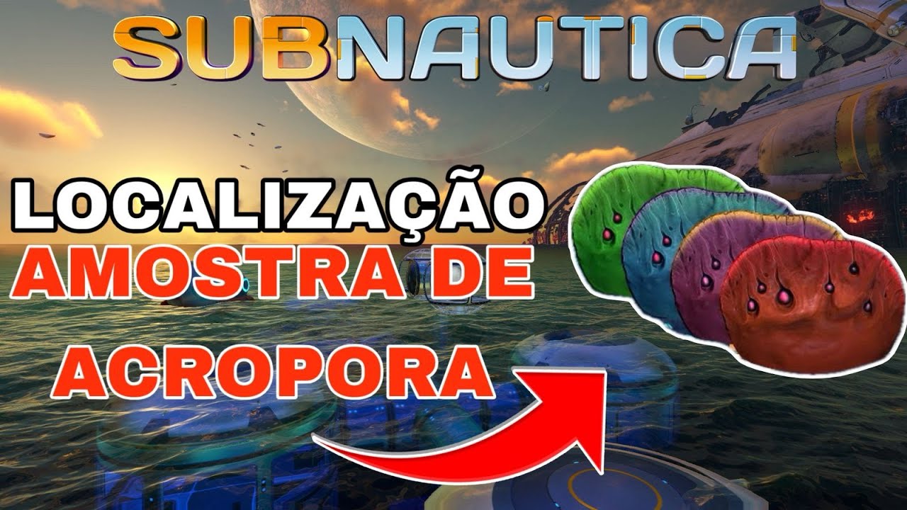 LOCALIZACAO DA AMOSTRA DE ACROPORA SUBNAUTICA - YouTube