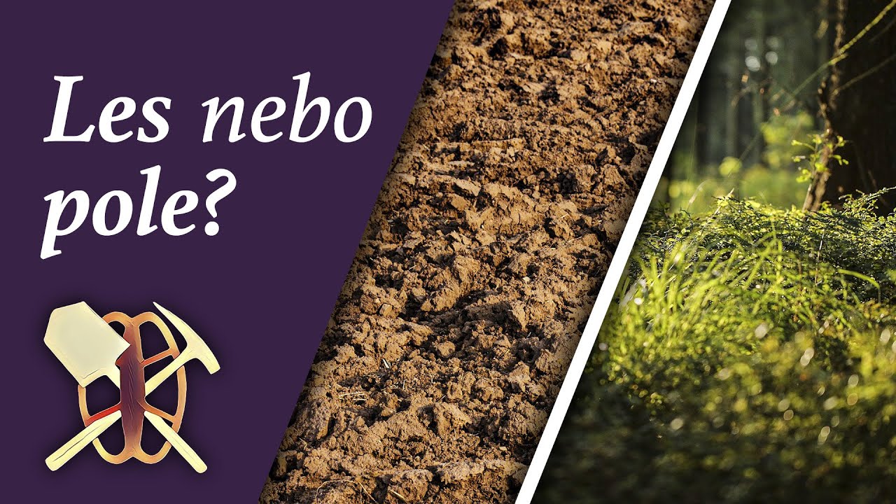 Je lepší pole nebo les pro hledání s detektorem kovů? #1