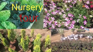 plant nursery tour||